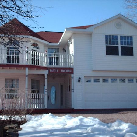 Dove House Bed & Breakfast Harbourside North Sydney Esterno foto