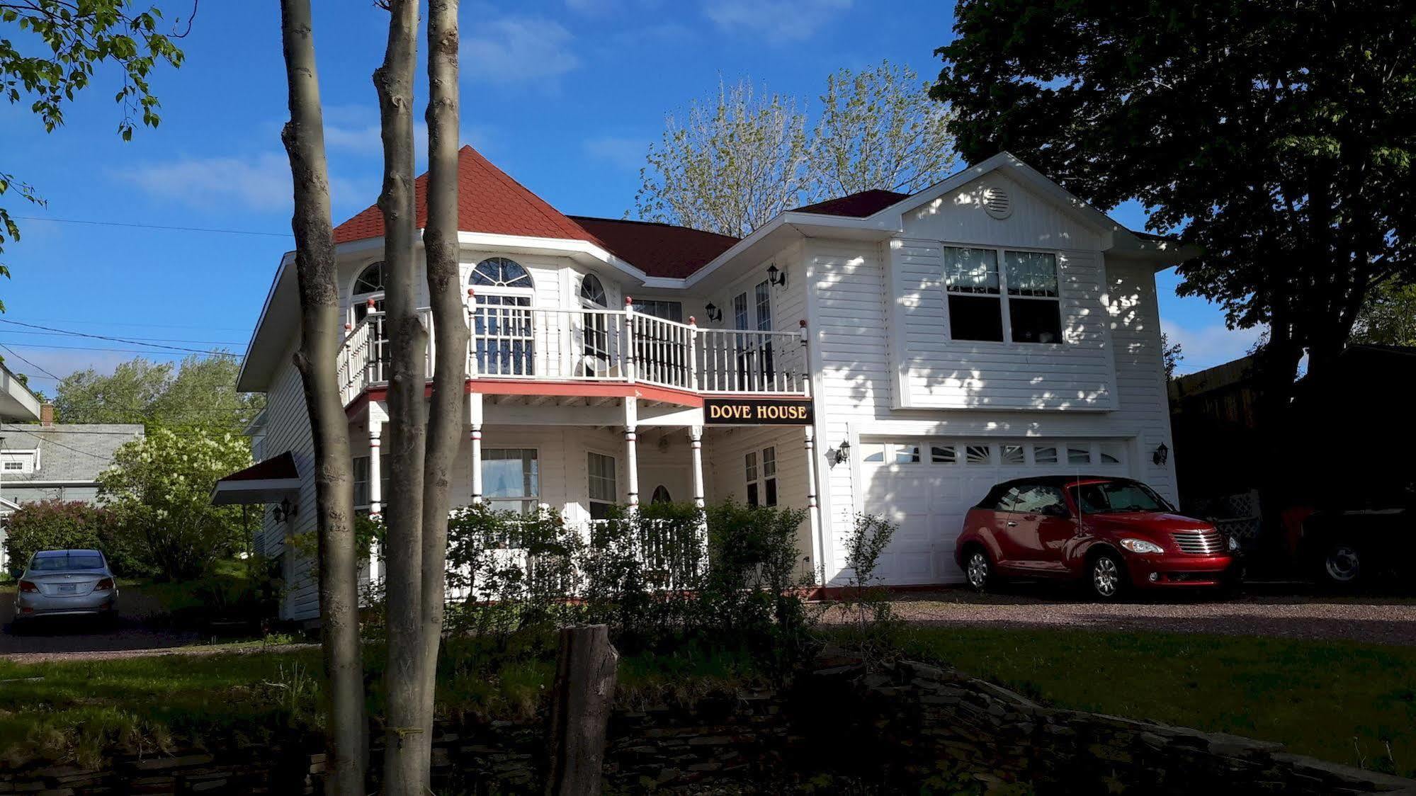 Dove House Bed & Breakfast Harbourside North Sydney Esterno foto