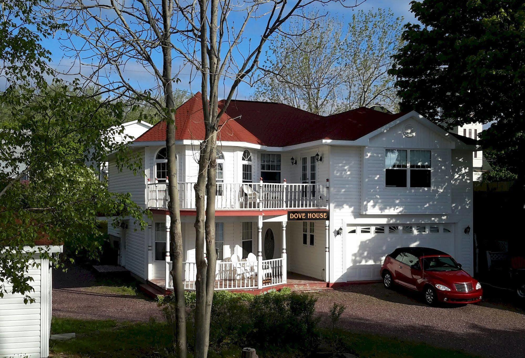 Dove House Bed & Breakfast Harbourside North Sydney Esterno foto