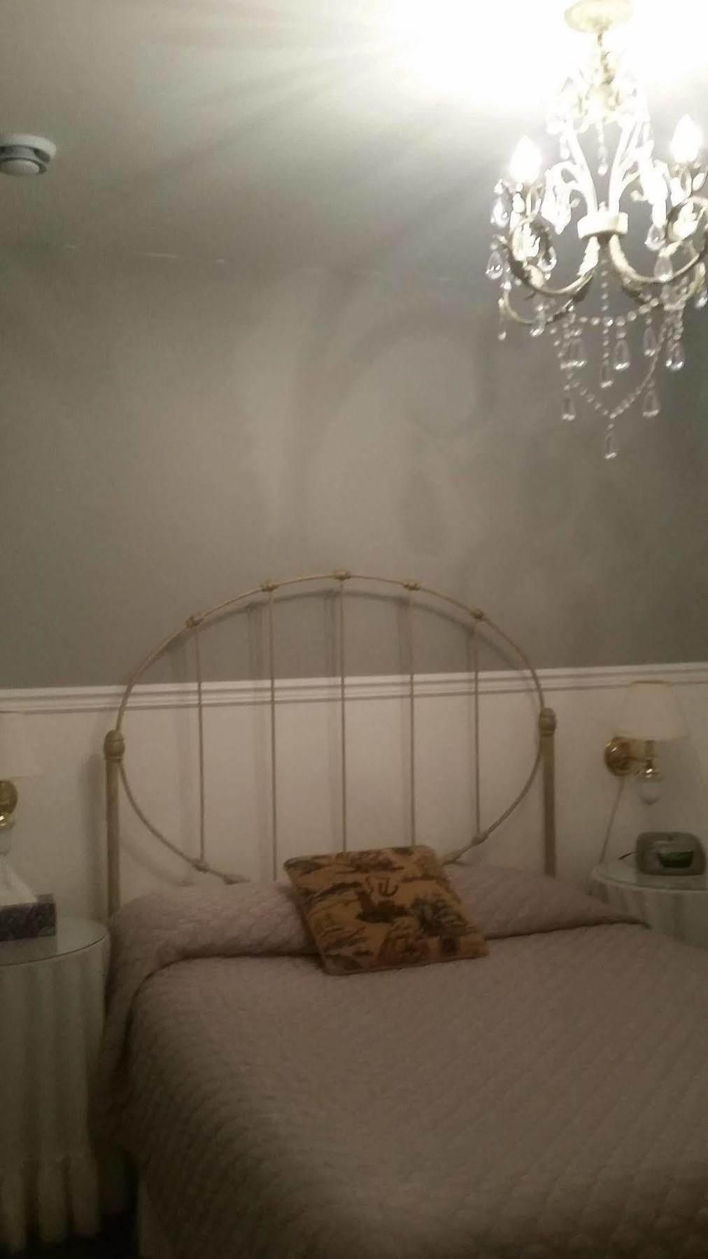 Dove House Bed & Breakfast Harbourside North Sydney Esterno foto